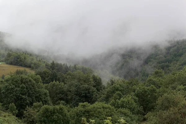 Пейзаж на плато де СО в Піренеях у Франції. — стокове фото