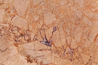 Kahverengi dolomitik kireçtaşı breccia yüzeyi. 