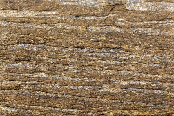 Textura Superficie Esquisto Mica Edad Carbónica Bretaña Francia — Foto de Stock