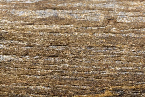 来自法国布列塔尼的碳化时代云母碎片表面的纹理 — 图库照片