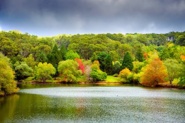 Avustralya sonbaharda renkli: Mount Lofty, Güney Avustralya