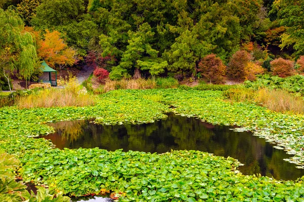 Colorful Australian Autumn Mount Lofty South Australia — Stock Photo, Image