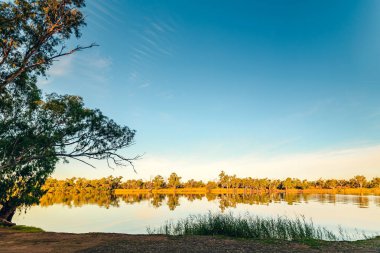 Murray Nehri, günbatımı, Riverland, kırsal South Australia