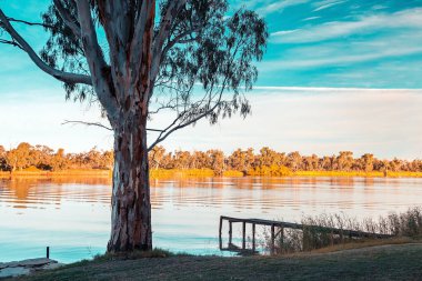 Murray Nehri kıyısında günbatımı, Riverland, Güney Avustralya