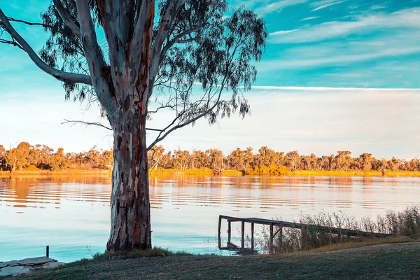 Murray River Stranden Vid Solnedgången Riverland South Australia — Stockfoto