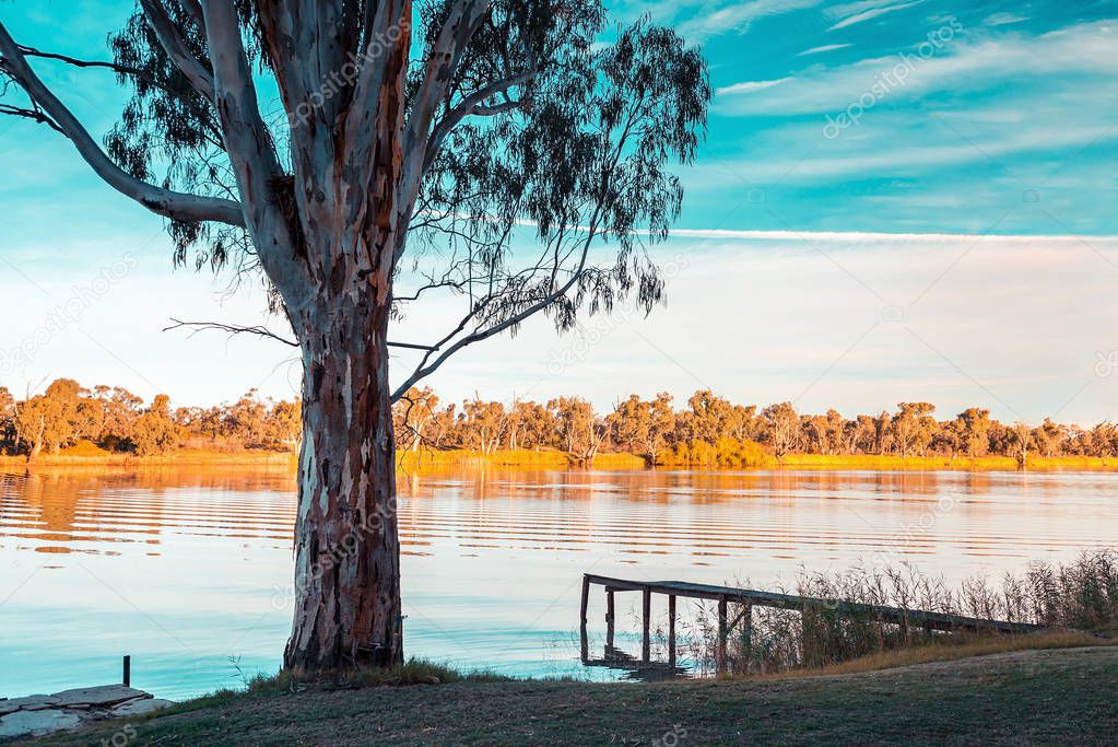 Murray river shores at sunset, Riverland, South Australia