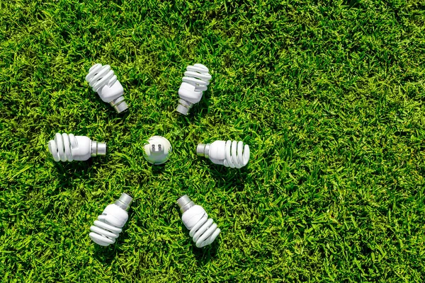 Ampoules Écoénergétiques Sur Herbe Verte Concept Économie Énergie — Photo