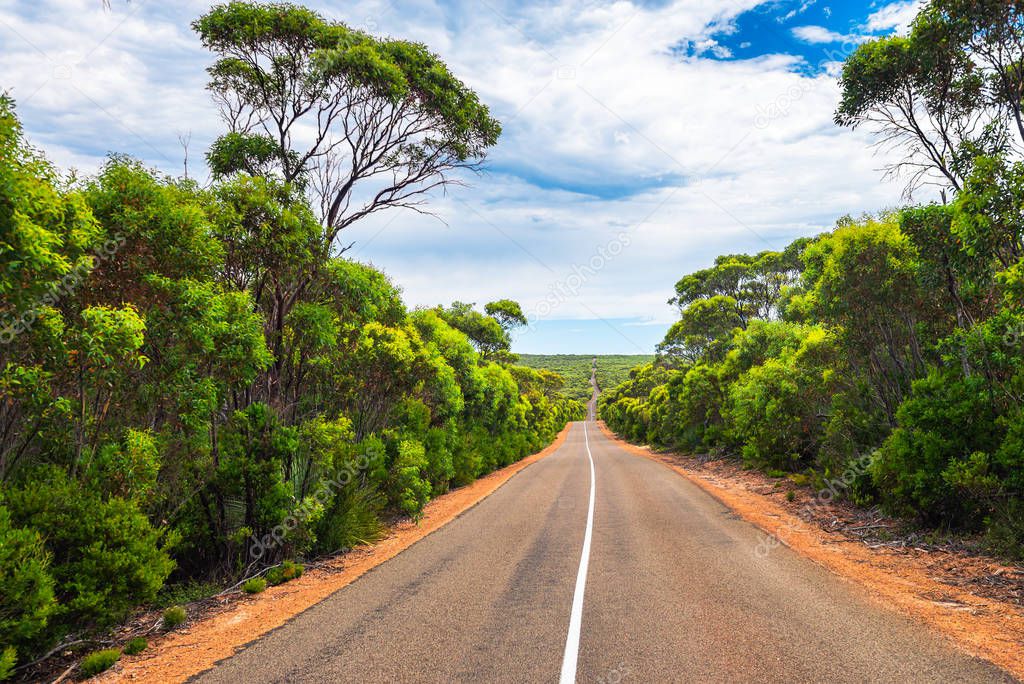 Winding road through Kangaroo Island 