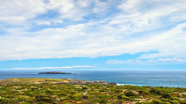 Fliders Chase park Admirals Arch doğru izlendi