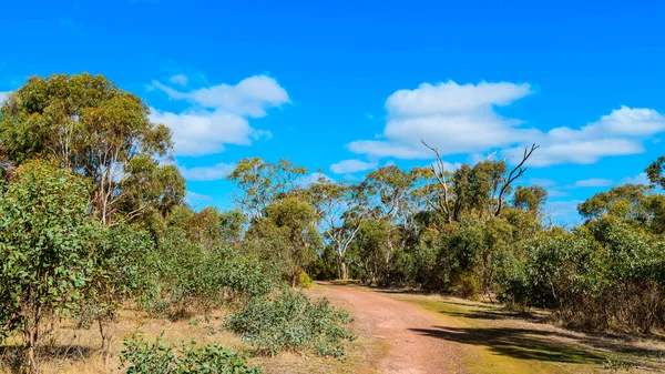 Onkaparinga River National Park Trail Einem Hellen Tag Südaustralien — Stockfoto