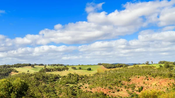Onkaparinga Nehri Ulusal Parkı 'nın aydınlık bir günde yürümekten panoramik manzarası