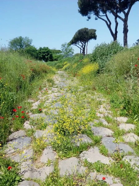 Parco degli acquedotti, roma, Lazio, Italia