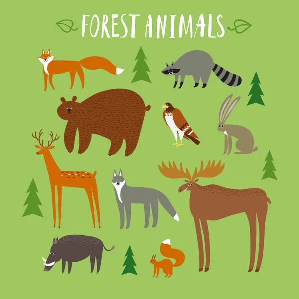 Lindos Animales Del Bosque Conjunto Dibujos Animados Ilustración Animales Para — Vector de stock