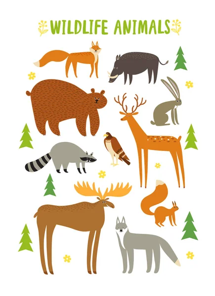 Lindos Animales Del Bosque Conjunto Dibujos Animados Ilustración Animales Para — Vector de stock