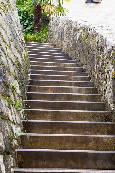 eğri taş merdiven kısmen siyah yosun kaplı