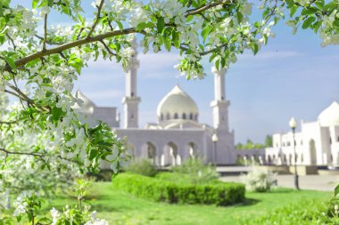 Bulgarların Beyaz Camii, çiçek açan elma ağacı dallarının arka planında güneşli bir bahar gününe odaklanamaz.
