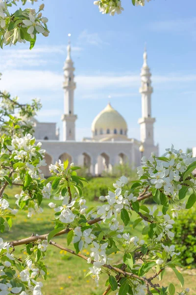 Bulgarların Beyaz Camii, çiçek açan elma ağacı dallarının arka planında güneşli bir bahar gününe odaklanamaz.