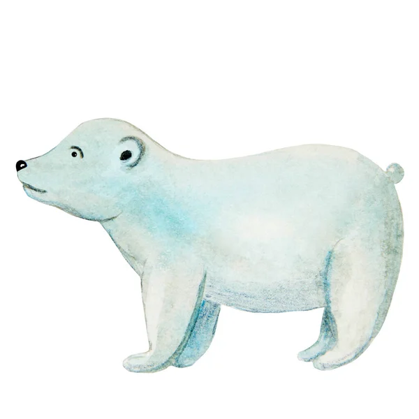 Urso polar Aquarela — Fotografia de Stock