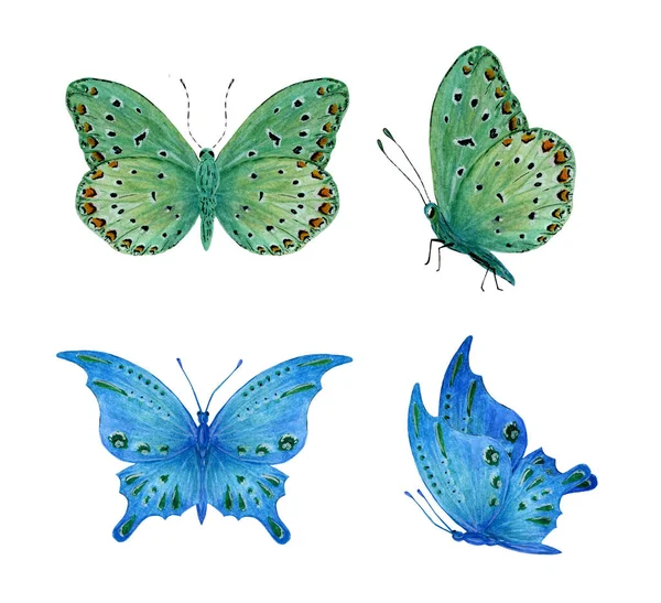 Akvarell clipart av blå och gröna fjärilar med mönster på en vit bakgrund. — Stockfoto