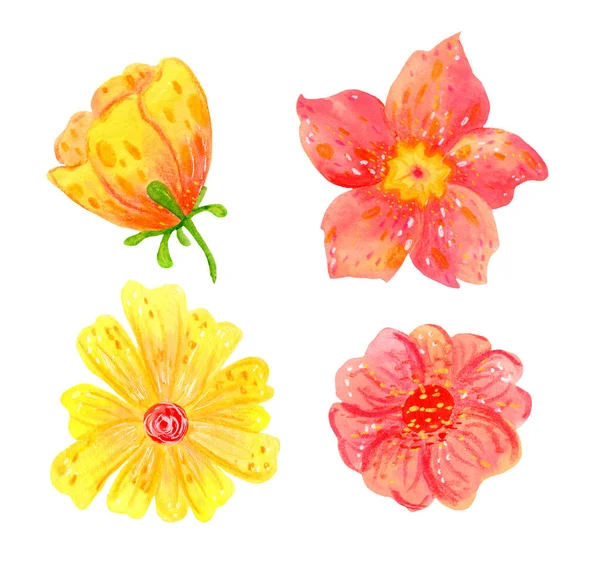 Set abstracte lentebloemen en -bladeren voor feestelijke decoratie en design. — Stockfoto