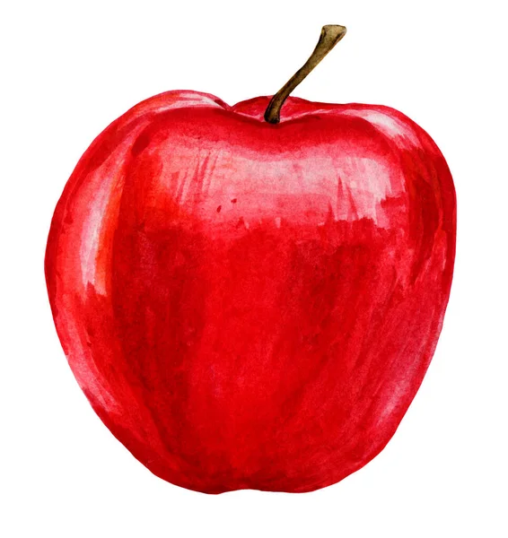 红的，成熟的，多汁的苹果，完整的，孤立的. — 图库照片