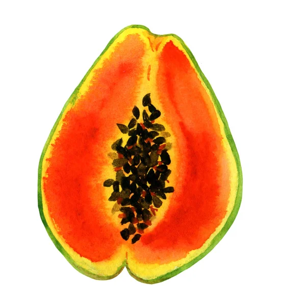 Clipart trópusi papaya gyümölcs, szeletelés. Fényes akvarell illusztráció — Stock Fotó