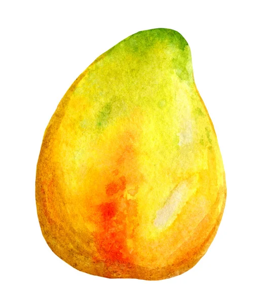 Papaya de frutas tropicales Clipart, entera. Ilustración de acuarela brillante —  Fotos de Stock