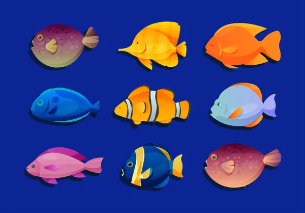 水底或海洋生物图景的矢量图解 收集明亮的鱼类 — 图库矢量图片