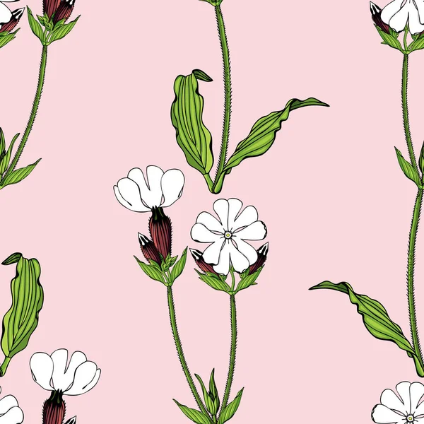 Beyaz campion çiçekler ile Seamless modeli