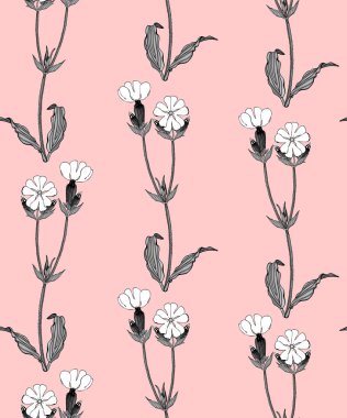 Beyaz campion çiçekler ile Seamless modeli