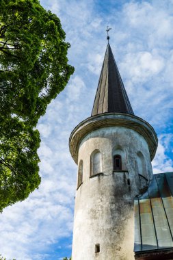 Antik Kilisesi John için yahya Luganuse, Estonya'da görüntüleyin.