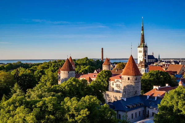 Nézd a régi város, Tallinn, Észtország, a szép napos este. — Stock Fotó