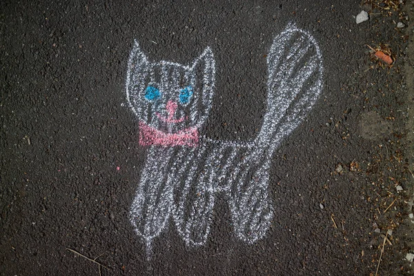 Cat drawn in chalk on asphalt outdoors — Stock Photo, Image