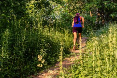 Genç kadın ormanda, güneş ışığı akşam uphills koşuyor