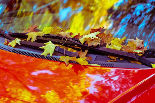 Красный автомобиль, стоящий с кленовыми осенними листьями на окне — стоковое фото