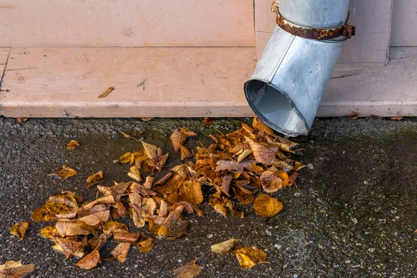 Herbstlaub Liegt Unter Abflussrohr Auf Dem Boden — Stockfoto