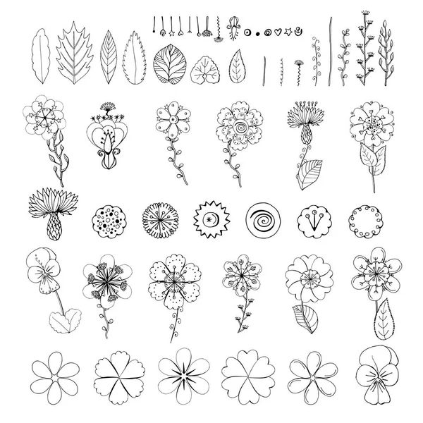 Monocromo Flores Hojas Aisladas Sobre Fondo Blanco Conjunto Elementos Florales — Archivo Imágenes Vectoriales