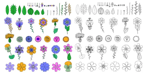 Bunte Und Einfarbige Blüten Und Blätter Auf Weißem Hintergrund Reihe — Stockvektor