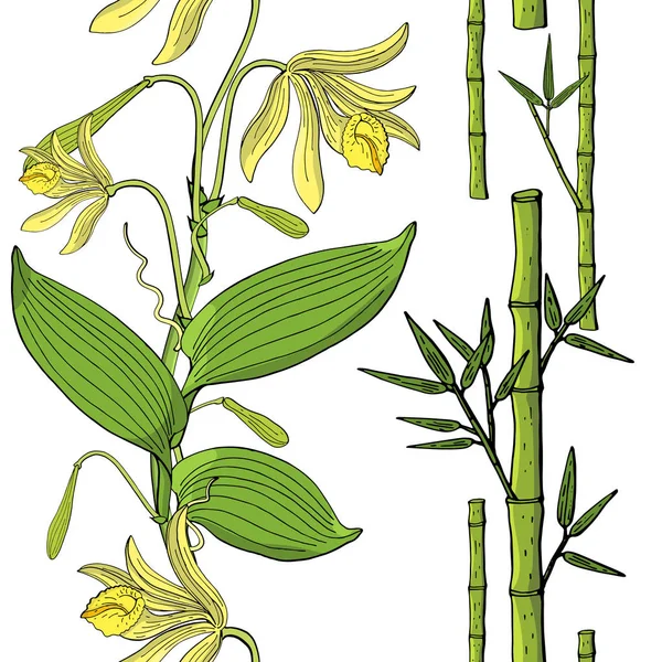 Brosse sans couture de vanille orchidée et bambou — Image vectorielle