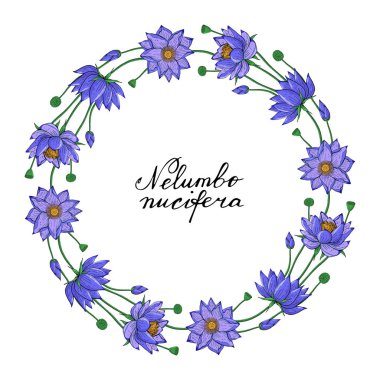 Lotus çiçeği, çiçek yuvarlak dekorasyon sınır, botanik tasarım öğesi çelenk