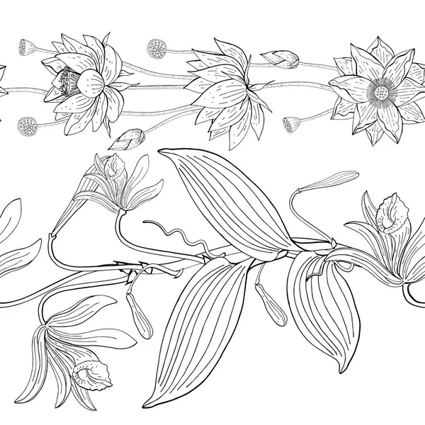Brosse sans couture de lotus et vanille vanille, fleurs d'orchidée — Image vectorielle