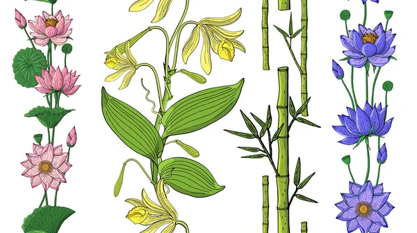 Naadloze Borstel Van Orchid Lotus Bloemen Bamboe Floral Designelementen — Stockvector