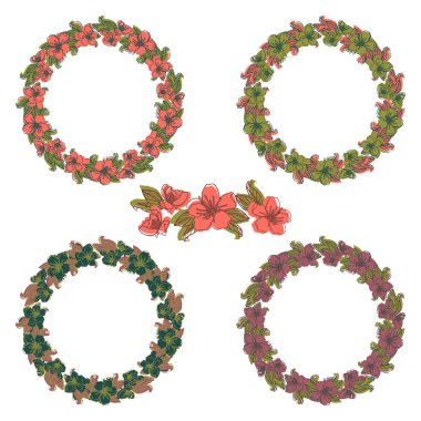 çiçek tasarım öğesi çelenk wh izole kiraz çiçekleri gelen