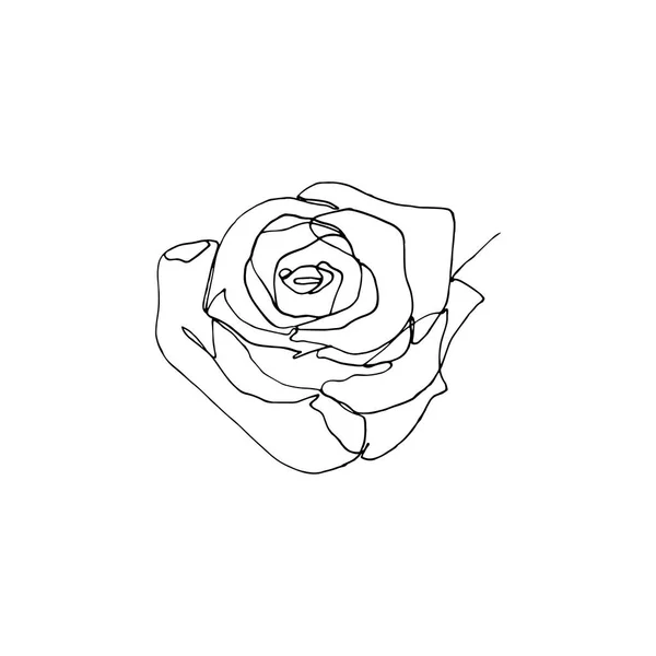 Fleur rose dessinée à la main, une seule ligne continue dessin . — Image vectorielle