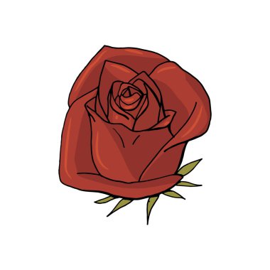 el çizilmiş çiçek gül. çiçek tasarım elemanı