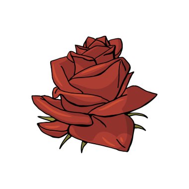 el çizilmiş çiçek gül. çiçek tasarım elemanı