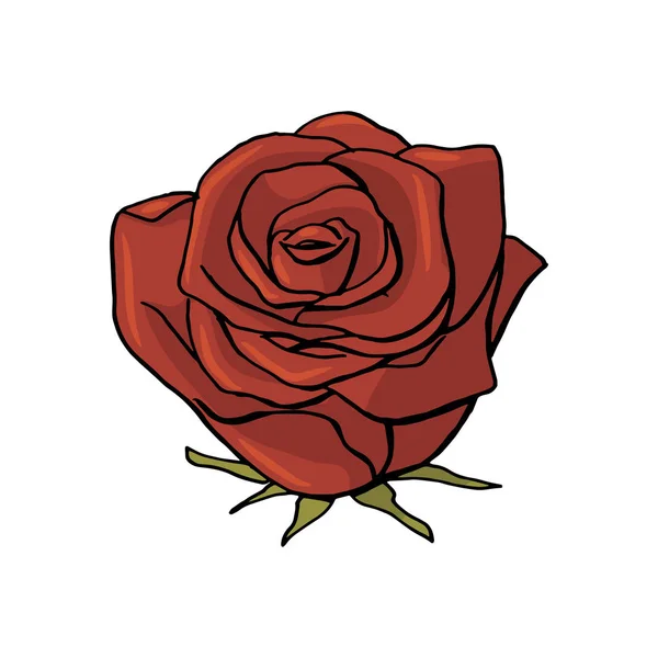 Flor de rosa dibujada a mano. elemento de diseño floral — Vector de stock