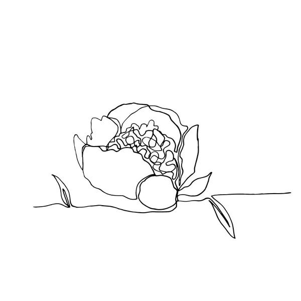 Flor de peônia minimalista desenhada à mão, um único blac contínuo — Vetor de Stock