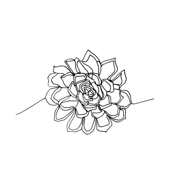 Succulent minimaliste dessiné à la main, un seul noir continu l — Image vectorielle