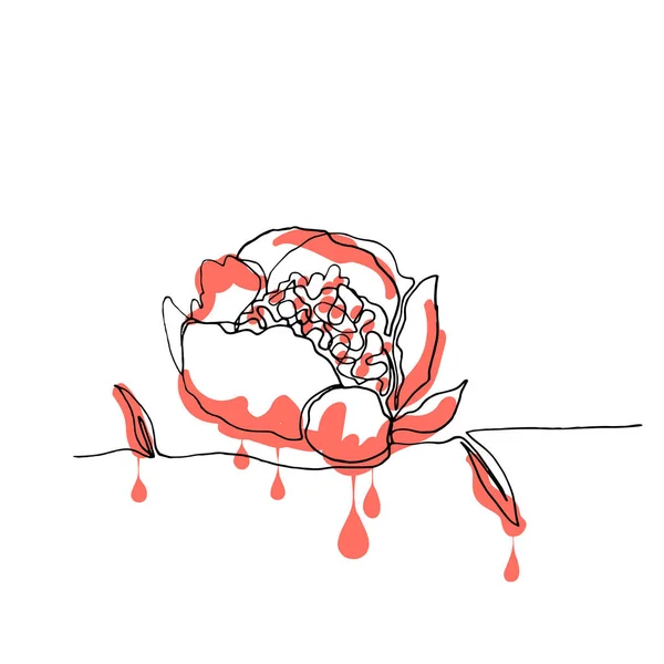Handgezeichnete minimalistische Pfingstrosenblume, eine einzige durchgehende Blume — Stockvektor